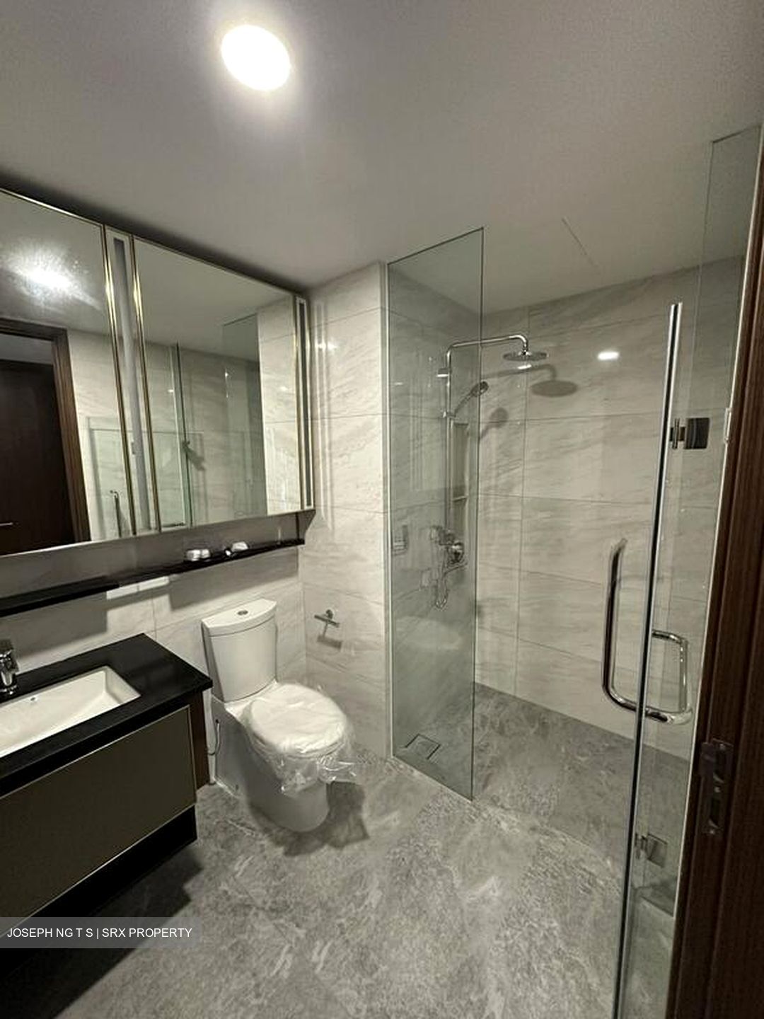 Normanton Park (D5), Apartment #520840631